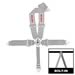 Click here for more information about Simpson Racing 29108P - Simpson Camlock Driver Restraint Systems