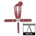 Click here for more information about Simpson Racing 29108R - Simpson Camlock Driver Restraint Systems