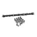 Click here for more information about Sealed Power ZCS560LIFT - Sealed Power Replacement Hydraulic Cam and Lifter Kits