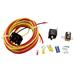 Click here for more information about Summit Racing SUM-890023 - Summit Racing&#174; Fuel Pump Relays
