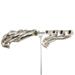 Click here for more information about Summit Racing SUM-G9072 - Summit Racing® Shorty Off-Road Headers for Mustang