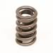Trick Flow Specialties TFS-31400414-1 - Trick Flow® Valve Springs