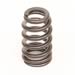 Trick Flow® Track Max® Pacaloy Valve Springs