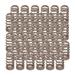 Trick Flow Specialties TFS-15410-24 - Trick Flow&amp;#174; Valve Springs