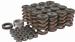 Trick Flow Specialties TFS-2500100 - Trick Flow&amp;#174; Valve Spring Upgrade Kits