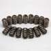 Trick Flow Specialties TFS-30600415 - Trick Flow® Valve Springs