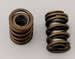 Trick Flow Specialties TFS-31400414 - Trick Flow&amp;#174; Valve Springs