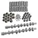 Click here for more information about Trick Flow Specialties TFS-K51802002 - Trick Flow® Track Max® Hydraulic Roller Camshafts and Valve Spring Upgrade Kits