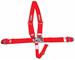 Racequip 713013 - RaceQuip Latch & Link Harness Assemblies