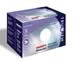 Wagner Lighting DH6054TV - Wagner TruView Sealed Beams