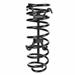 Performance Tool W80554 - Performance Tool Coil Spring Compressors