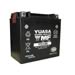 Yuasa Batteries YTX14-BS - Yuasa AGM Maintenance-Free Batteries