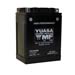 Yuasa Batteries YTX14AH-BS - Yuasa AGM Maintenance-Free Batteries