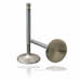 Manley Race Series Stainless Steel Valves