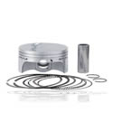 Click here for more information about Piston and Ring Kits