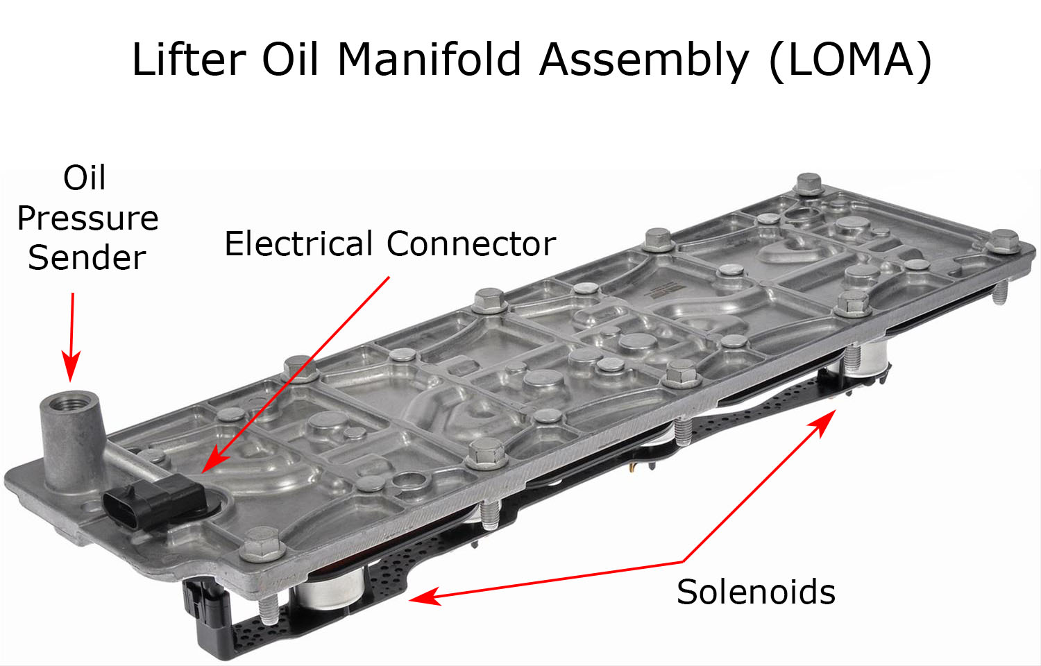 8-Pack AFM DOD Valve Lifters For Chevy GM 5.3L 6.0L 6.2L - Hydraulic Roller - Replaces 17122490