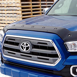 Bug Guards & Window Visors