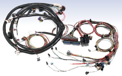 Fuel Injection Wiring Harnesses at Summit Racing