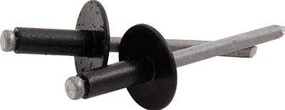 3点まとめ買い あやめ 新品 アマゾンブランド Rivet Classic Allstar Performance ALL18168 Allstar Performance Large Head Rivets