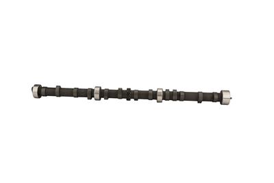 Crane Cams 750501 Crane Hydraulic Flat Tappet Camshafts | Summit