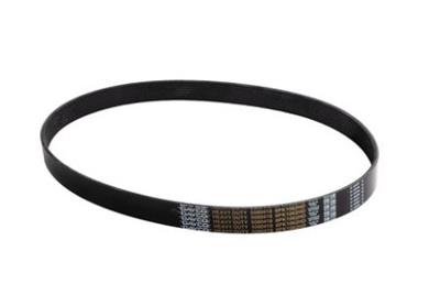 Dayco 5080418 Dayco Gold Label Poly Rib Belts | Summit Racing