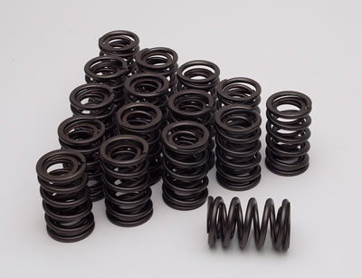 Edelbrock Sure Seat Valve Springs