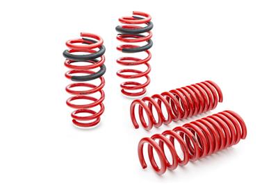 Eibach Pro-Kit Lowering Springs E10-25-001-02-22 for Mercedes-Benz