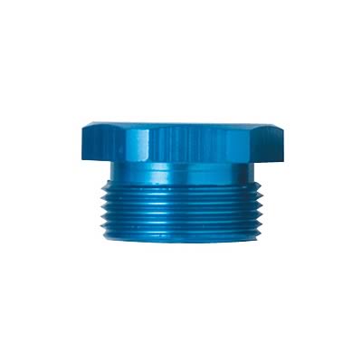 Fragola 7/8-20 Inlet Plug -Blank thumbnail 2