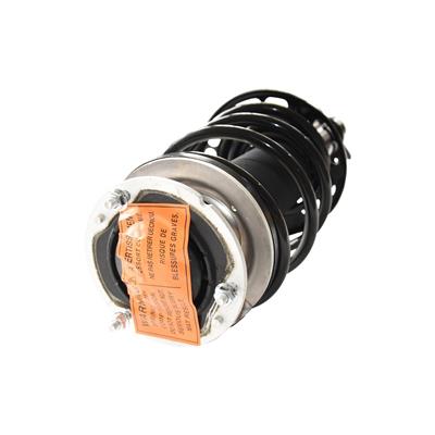 GSP North America Co Inc. 883348 GSP Loaded Strut Assemblies