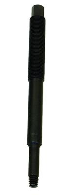 lil-65620.jpg