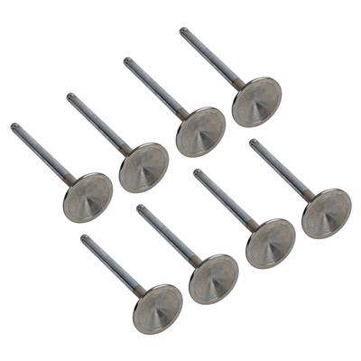 Manley Race Series Stainless Steel Valves