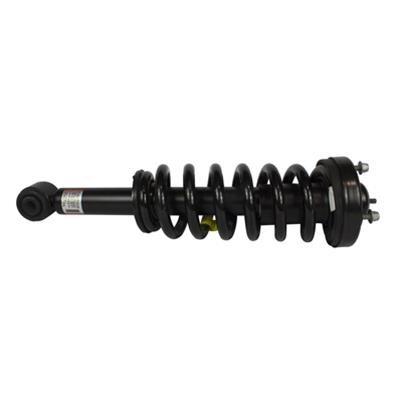 Motorcraft GU2Z18A092R Motorcraft Loaded Struts | Summit Racing