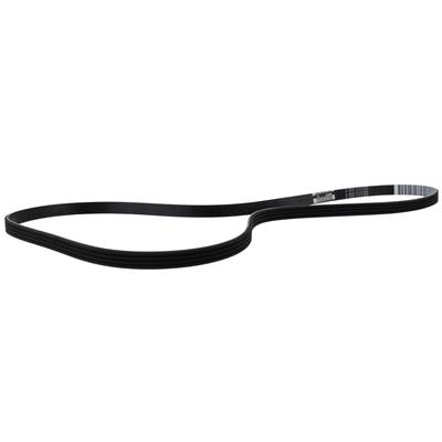 Motorcraft DA8Z8620G Motorcraft Accessory Belts | Summit Racing