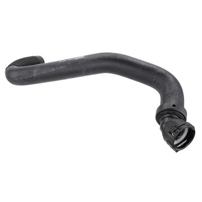 Motorcraft CL3Z8260A Motorcraft Radiator Hoses | Summit Racing