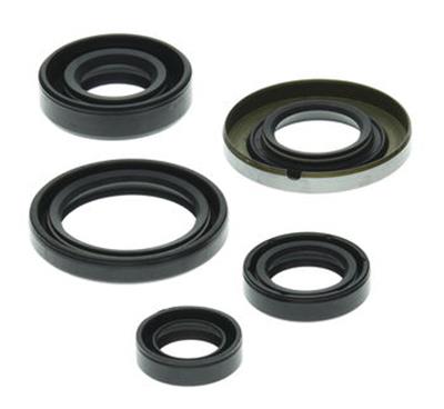 Quadboss Powersports Gasket Kits 564218 OIL SEAL SET