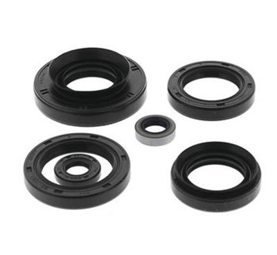 Quadboss Powersports Gasket Kits 564210 OIL SEAL SET