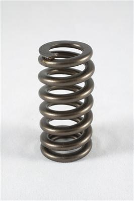 Sports Compact  PAC Racing Springs