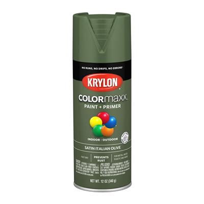 Krylon 5566 Krylon COLORmaxx Paint | Summit Racing