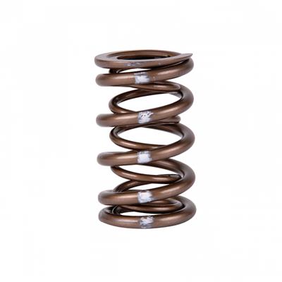 Skunk 2 311-05-7350 Skunk2 Racing Pro XP Valve Springs | Summit Racing