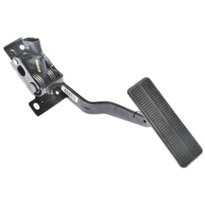 Standard Ignition 6 Terminal Accelerator Pedal Position Sensor