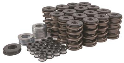 Trick Flow Specialties TFS-2500200 Trick Flow® Valve Spring
