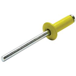 Allstar Performance Small Head Rivets ALL18006