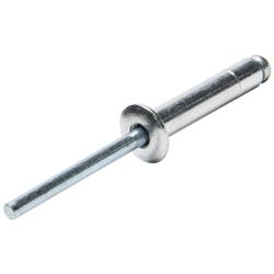 Allstar Performance Small Head Rivets ALL18020