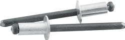 Allstar Performance Small Head Rivets ALL18101
