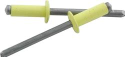 Allstar Performance Small Head Rivets ALL18138