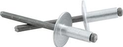 Allstar Performance Large Head Rivets ALL18145