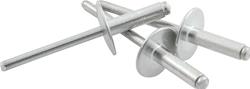 Allstar Performance Large Head Rivets ALL18153