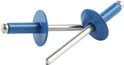 Allstar Performance Large Head Rivets ALL18175