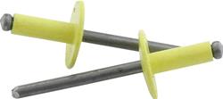 Allstar Performance Large Head Rivets ALL18180