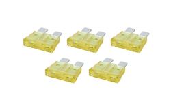 Allstar Performance Electrical Fuses ALL76367